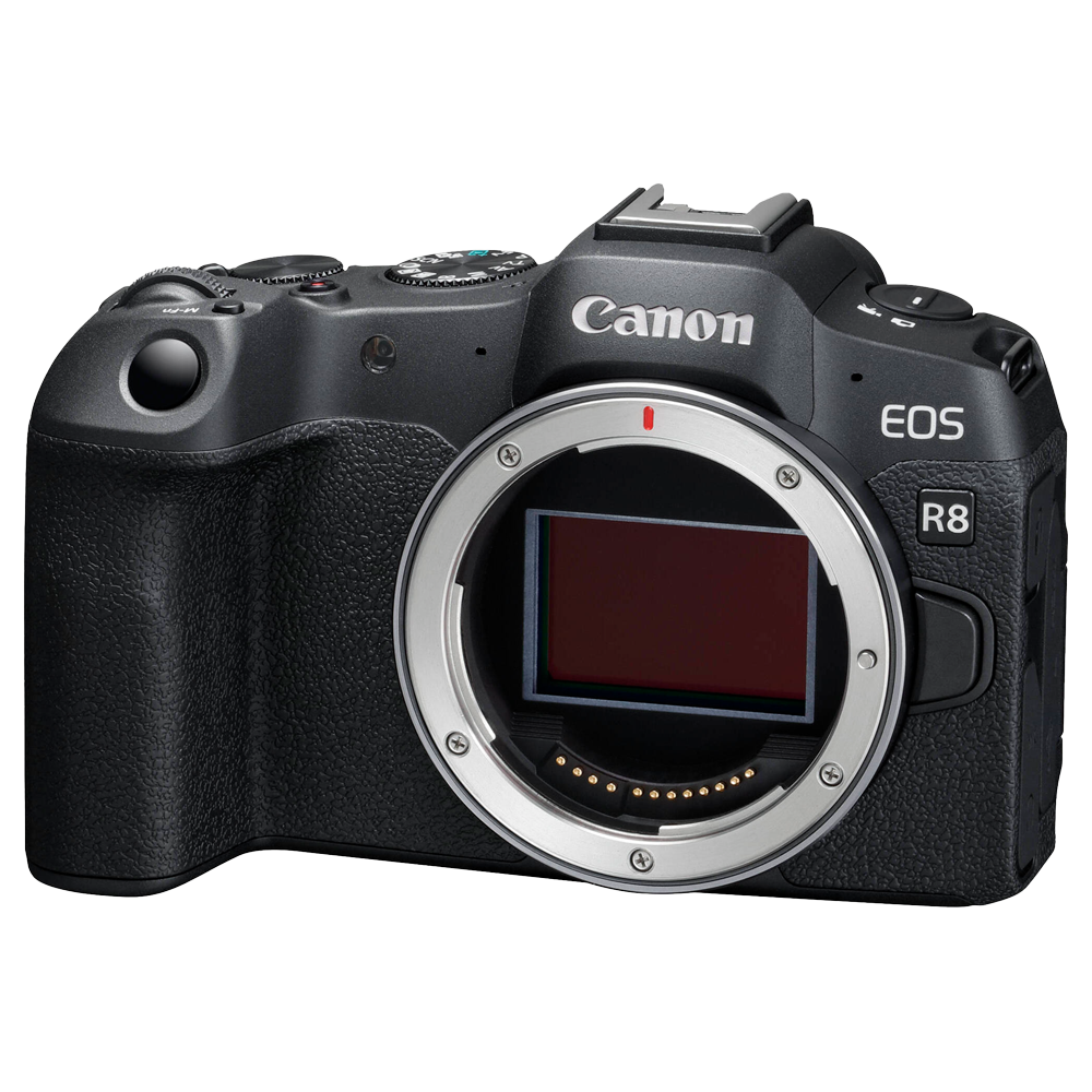 Canon EOS R8 (Body Only)